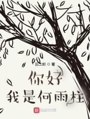 你好我是何雨柱TXT