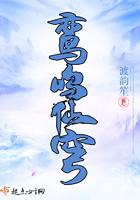 鸾鸣科技是正规公司吗