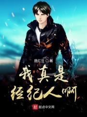 我只是个经纪人n p