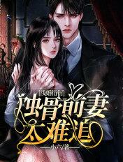 浅婚衍衍书包网