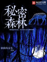 秘密森林讲解