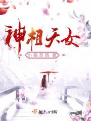神相天女小狼全文免费阅读
