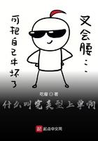 什么是完美型人格