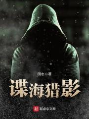 谍海猎影笔笔趣阁