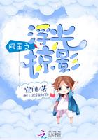 网王之浮光掠影 宜闻