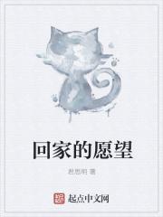 回家的愿望乌鲁木齐我的家