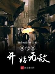 从北美开始巫师全文