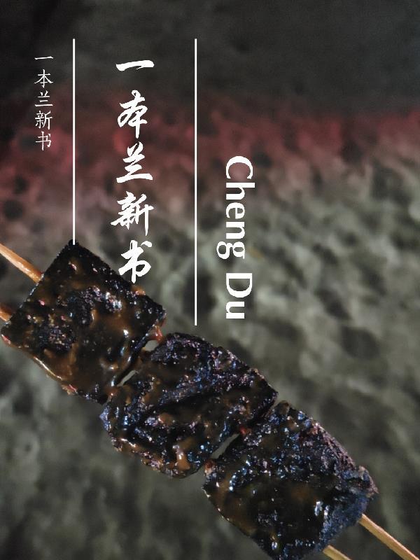 一本书籍