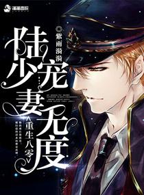 重生八零陆少宠妻无度 紫雨漪漪创作的网络