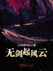 剑起风云全文阅读无弹窗