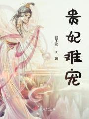 贵妃难为简介
