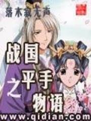 战国之平手物语贴吧