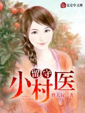留守小村医完整版