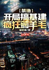 禁地冒险开局满级