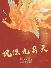 凤什么九天的电视剧