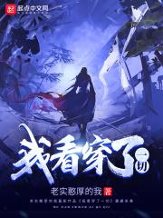 我看穿一切书夜