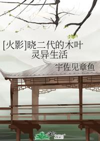 火影忍者晓组织进攻木叶是第几集