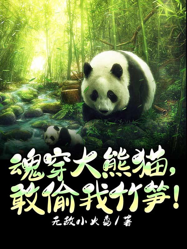 穿成大熊猫