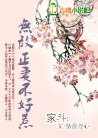 穿越:无敌正妻不好惹